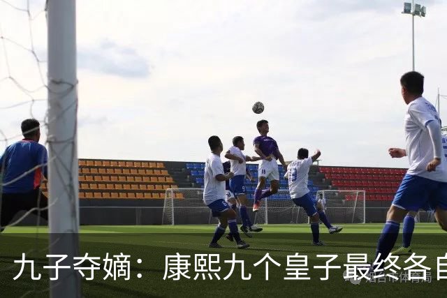 九子夺嫡：康熙九个皇子最终各自下场