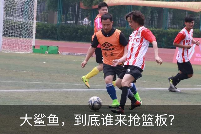大鲨鱼，到底谁来抢篮板？