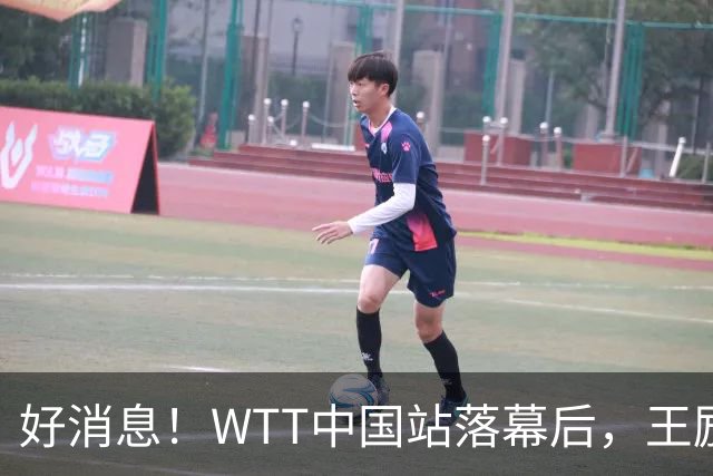 好消息！WTT中国站落幕后，王励勤释放关键信号，樊振东或能回归