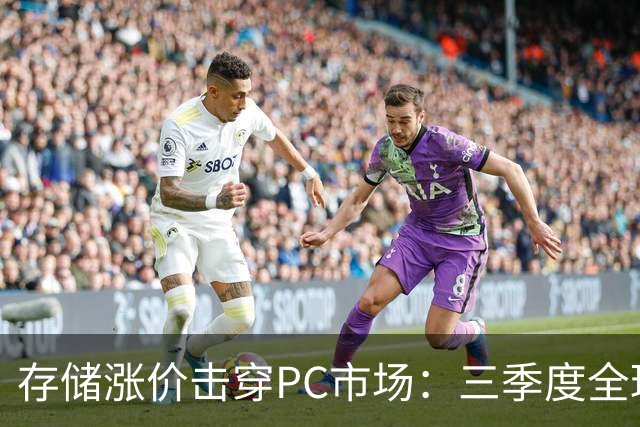 存储涨价击穿PC市场：三季度全球出货量暴跌21%，四季度预计再降27%