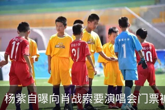 杨紫自曝向肖战索要演唱会门票被拒绝，原因引全场大笑