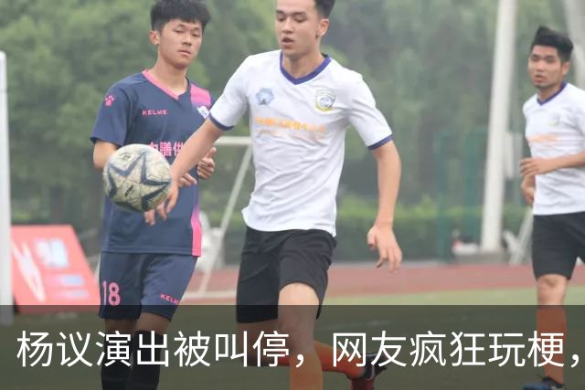 杨议演出被叫停，网友疯狂玩梗，拿什么拯救你我的“嘚五”？