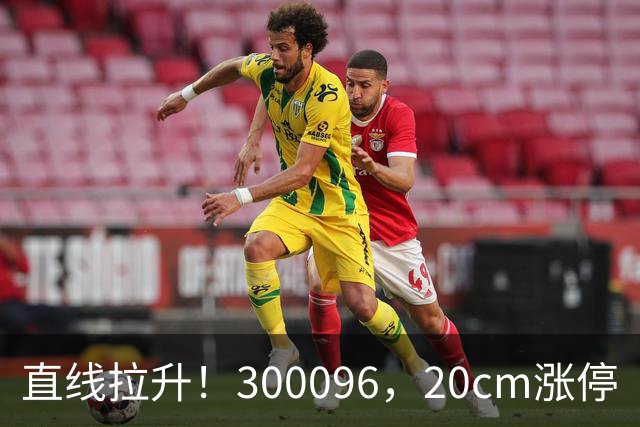 直线拉升！300096，20cm涨停