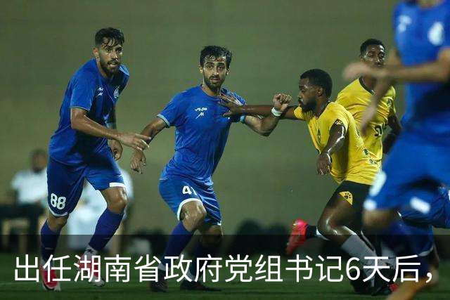 新闻动态
